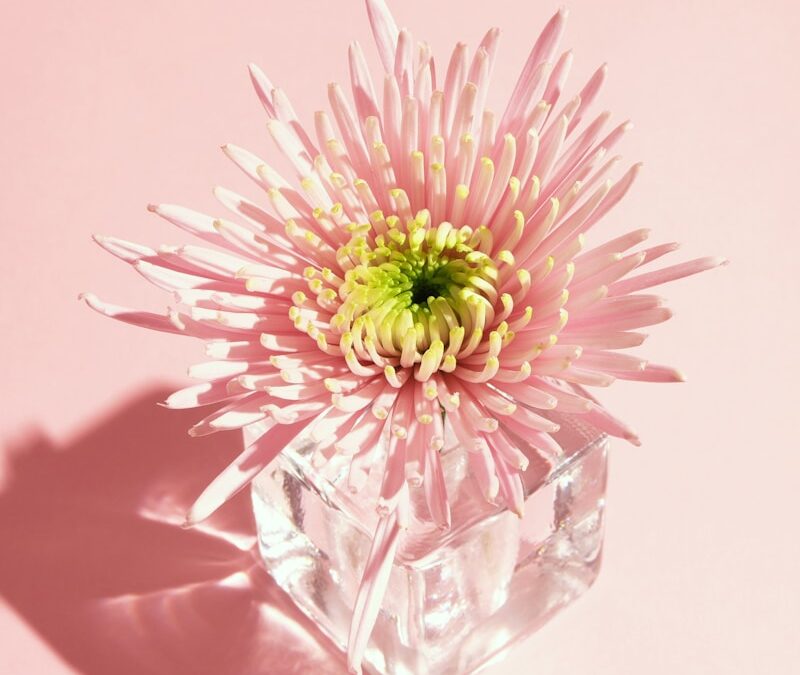 Le Design d’Objet à l’Épreuve du XXIe Siècle : Entre Durabilité et Technologie